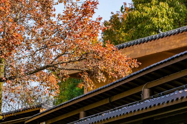 花木兰是哪个朝代的人物，花木兰是哪个朝代的人物老公是谁（木兰将军的老家在武汉黄陂）