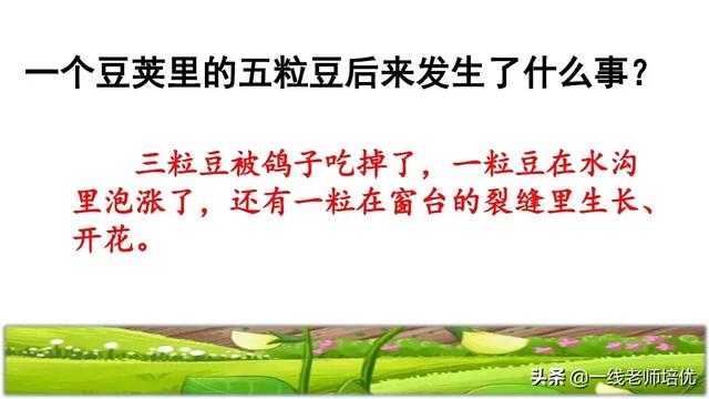 才华横溢的近义词，形容聪明才华横溢的成语有哪些（部编四年级上第5课《一个豆荚里的五粒豆》重点知识+课文讲解）