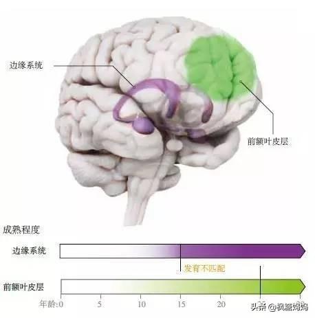 12岁小孩早恋怎么教育，12岁孩子早恋怎样教育才是正确的方法（马未都第一句话绝了）