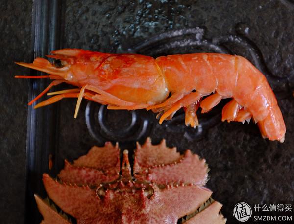 虾有多少品种，淡水虾有哪些品种（虾类双11购买攻略富山虾）