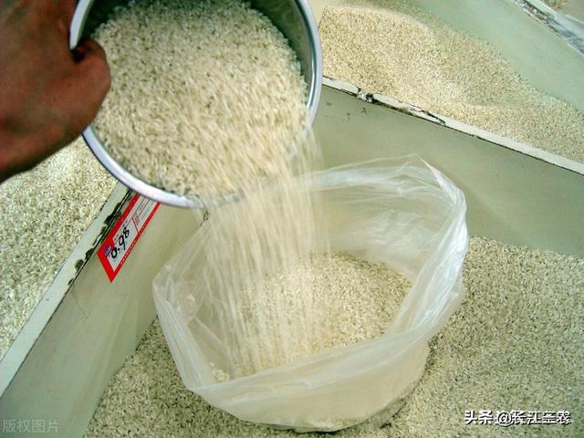 精米和糙米的区别，糙米和精米一起煮饭的做法（糙米与精米的区别）