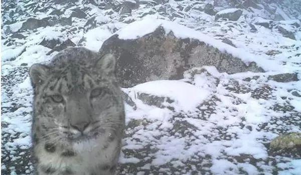 汶川海拔多少米，四川汶川县海拔多少米（什么是汶川）