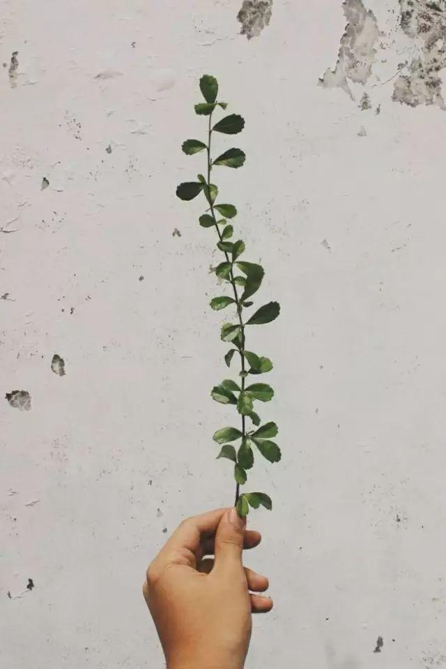 红尘炼心美文，红尘炼心的作品（修行的最好方式，就是红尘炼心）