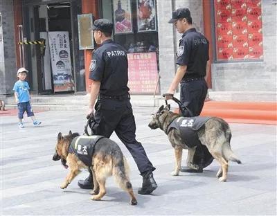 退役警犬多少钱一只 退役警犬有补助吗