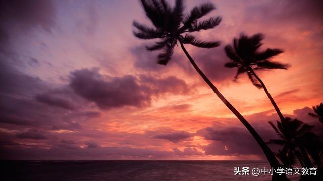 聘的读法是什么呢，聘怎么读（快看看你可以读对多少个）