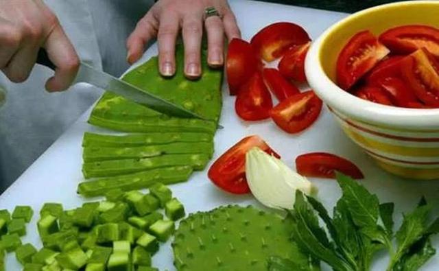 仙人果的功效与禁忌，仙人掌高10米