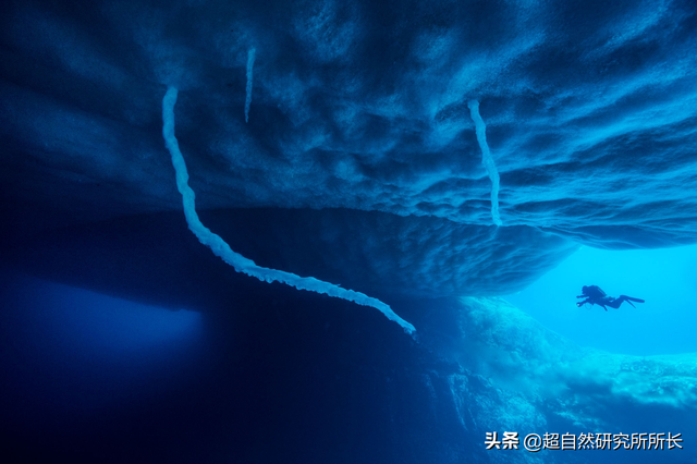 海底最深处的生物，10000米恐怖深海鱼（南极深处真的存在巨大的生物吗）
