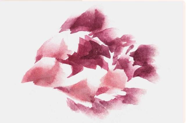牡丹花简笔画简单又好看，简笔画画牡丹花（适合零基础绘画者学习）