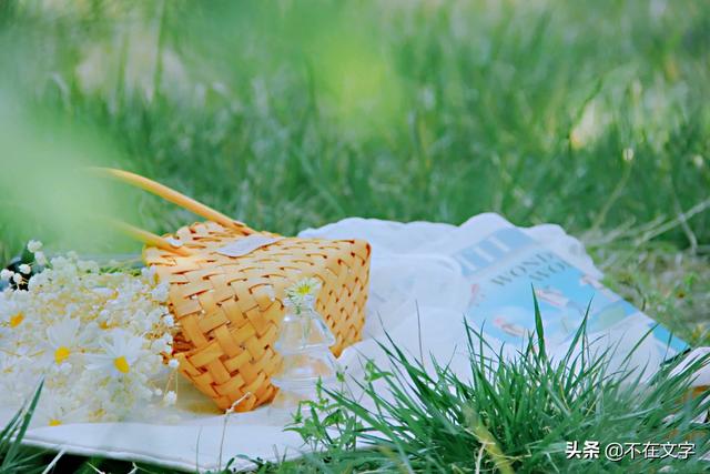 夏天的文案英文，夏天唯美文案句子英文（关于夏天的唯美句子）