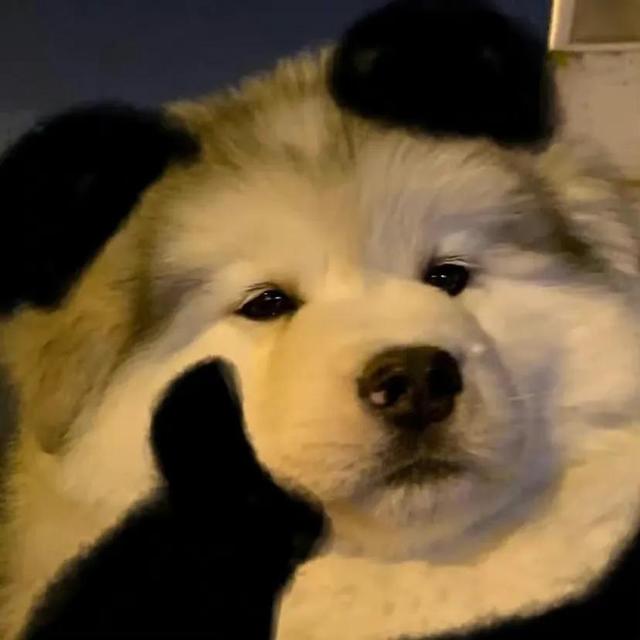 撑伞的小姐姐~，微信头像，撑伞的小姐姐~（头像.撑伞也是雨中人）