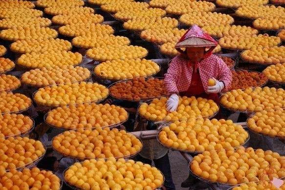 吃柿子能喝牛奶吗，吃柿子后多久能喝牛奶（柿子不能和牛奶一起吃）