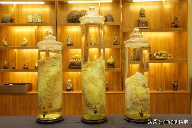 太岁是什么东西，太岁是什么东西图片（捡到的太岁为何还能继续生长）