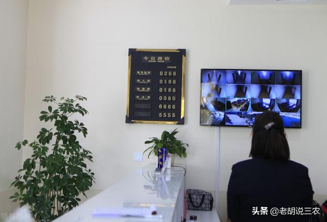 钟点房是什么意思，什么是钟点房（其身份证地址却不在同一个地方）