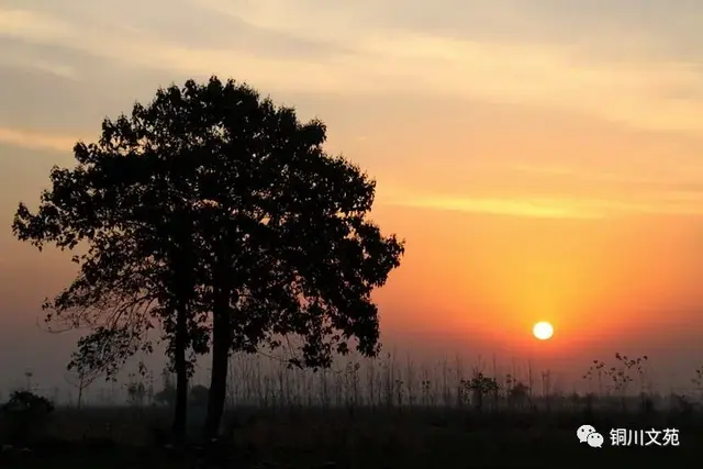 郝玉静疾风知劲草，疾风知劲草，智者必怀仁