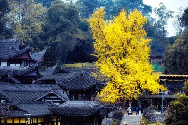 ps滤镜camera raw在哪，ps滤镜camera（如何拯救“灰姑娘”照片）