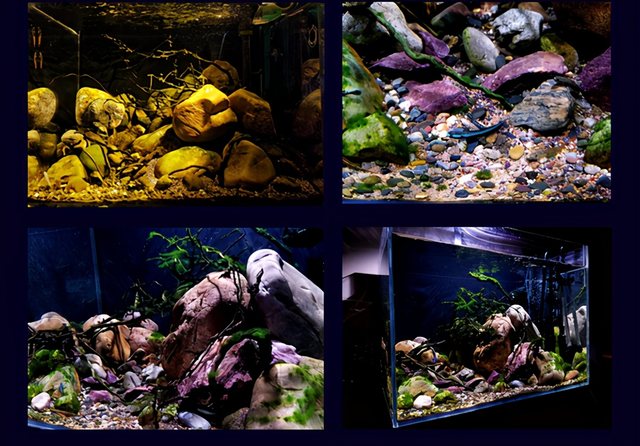 鱼缸底部铺什么好，鱼缸底部铺卵石养什么鱼（如何挑选一个合适自己的鱼缸）