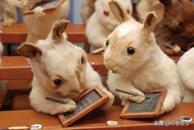 手不释卷的动物，手足之情的动物是什么生肖（世传王安石是獾转世投胎）