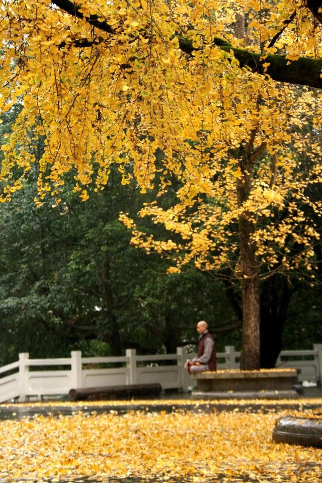 韶关云门寺，韶关云门寺图片（韶关这座色彩斑斓的古寺现在去正好）