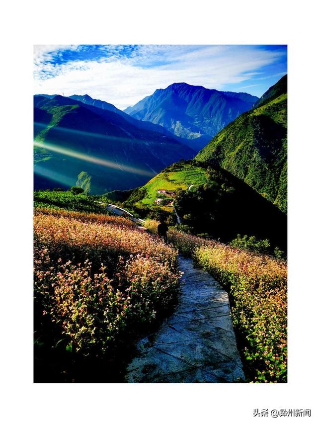 jkmtl00是什么型号，jkmal00是什么型号的（2020年凉山第二届全民手机摄影大展作品欣赏）