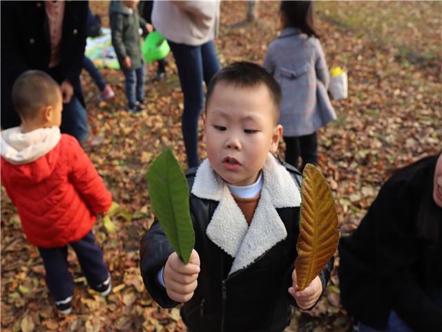 盐城市六一幼儿园（盐城六一幼儿园松江路园区开展）