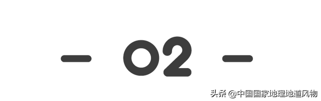 冷面是什么面做的，各地东北人吵起来啦