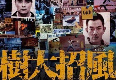 追龙原型故事是什么，追龙是真实故事改编的吗（《追龙1》有跛豪和五亿探长）