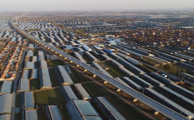  山东属于北方还是南方，山东省属于南方还是北方（山东，怎么成了地域黑的新目标） 