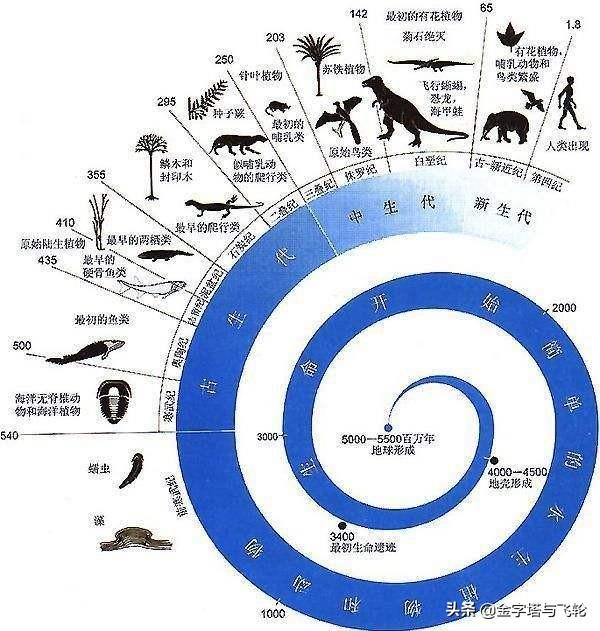 三生万物的真正含义，自然界运转的规则及其感悟