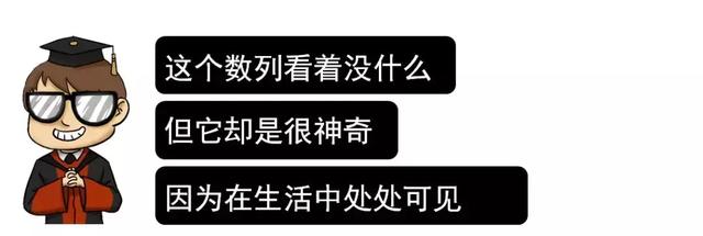 斐波拉契数列，斐波那契数列python（我居然从一只猫身上学到了斐波那契数列）