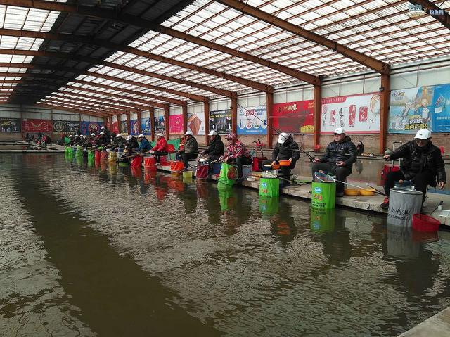 我的鱼塘是什么意思，你的鱼塘啥意思（黑坑特有的“签票”和“退票”）