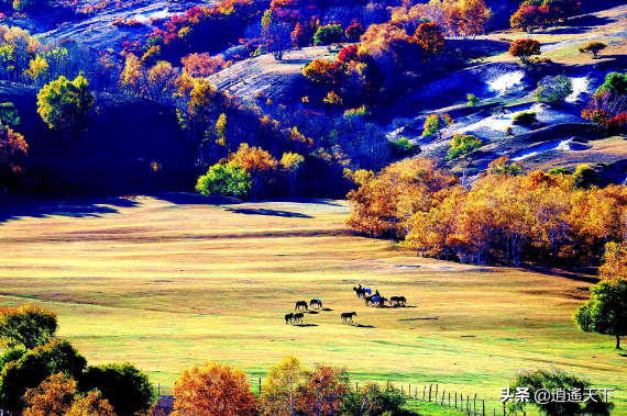 草原都有哪些类型，内蒙古的草原类型有几种（全中国最美丽的八大草原）