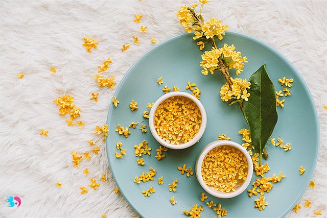 桂花茶的制作方法，桂花茶自制方法（排毒养颜女生必备）