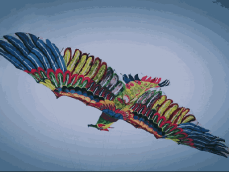 民族文化艺术有哪些，民族艺术有哪些（中国十大民间艺术，你知道几个）