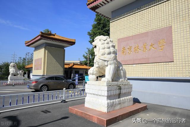 南京所有大专院校有哪些，南京所有大专院校有哪些专业（1952年院系调整后江苏只有15所大学）