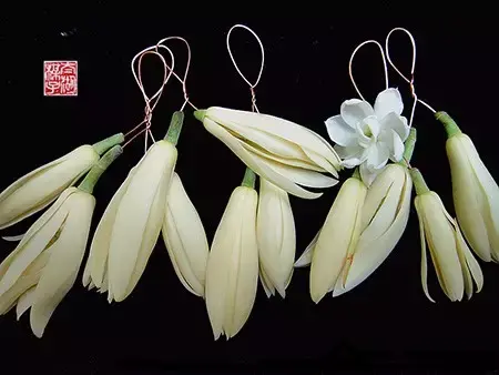 茉莉花的功效，茉莉花的功效与作用泡水喝的功效（因为它气机清灵啊）