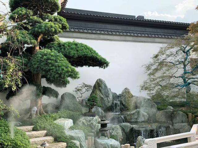 松柏树的象征意义，松柏树长什么样子（庭院门口真的不可以种植松柏吗）