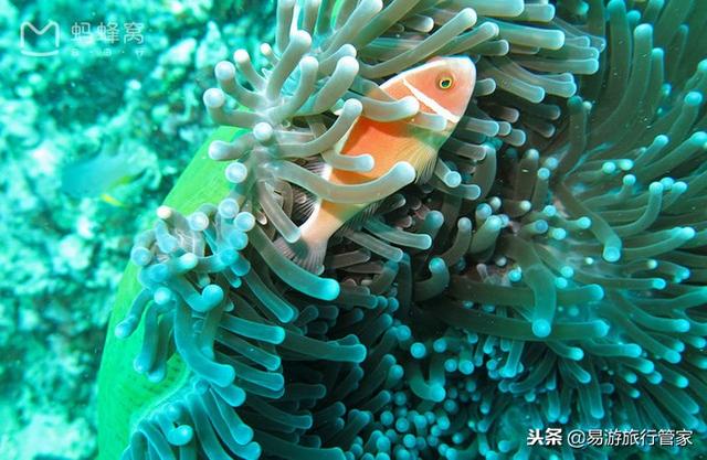 沙巴在哪里，沙巴在哪里啊（沙巴经典必游10个景点）