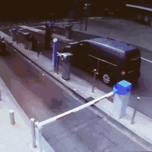 海贼王情侣头像，海贼王情头微信（盘点年度沙雕大集锦）