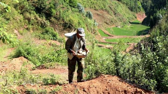 哈尼是什么意思，哈尼是什么意思在中国（哈尼族祈祷风调雨顺的这个民间习俗）