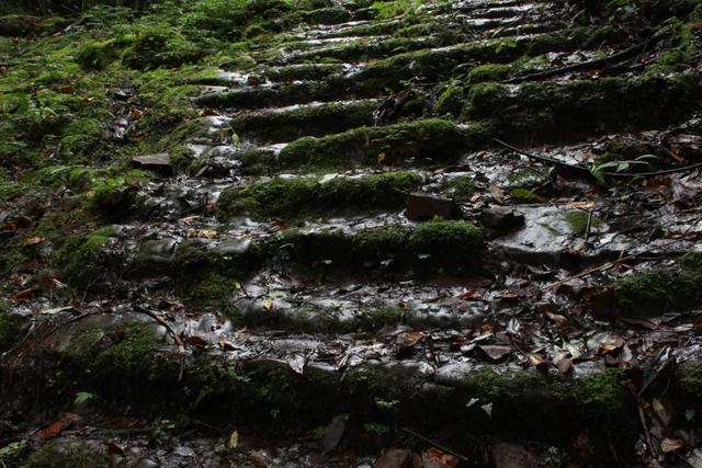 兰坪县属于哪个市，兰坪属于哪个地区（怒江·兰坪白族普米族自治县）