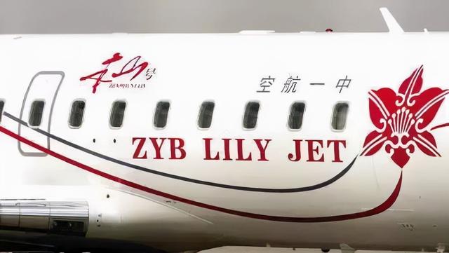 赵本山新剧被叫停，赵本山为什么被央视封杀（赵本山，这次真倒下了）