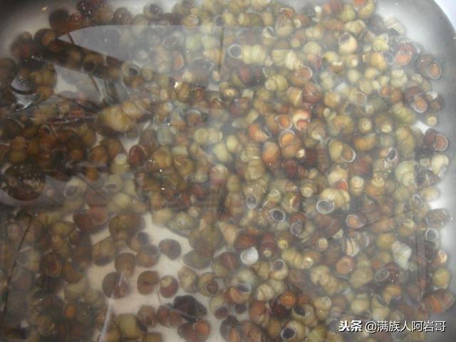 羊肉焖田螺怎么做好吃，鸡肉焖田螺怎样做才好吃（红烧螺蛳+清汤羊肉！）