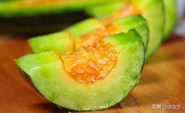 羊角蜜产地，羊角蜜产地哪里好吃（羊角蜜和香瓜、甜瓜有什么区别）