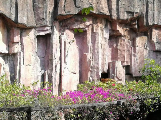 番禺有什么好玩的地方，番禺有什么好玩的（广州番禺旅游攻略<C篇>）