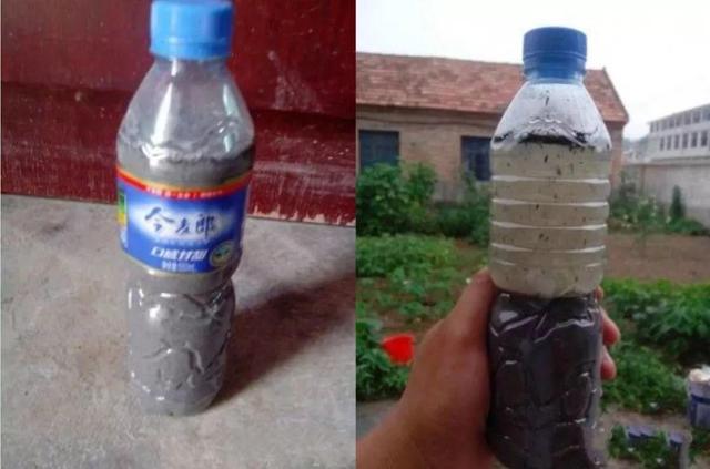 怎么驱蚊子最有效，除蚊子的方法（1把蚊香灰撒盆里）