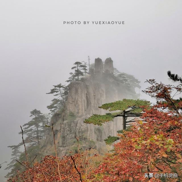 轻烟老树寒鸦什么意思，轻烟老树寒鸦前面一句是什么（不妨跟着“古诗”拍拍看）