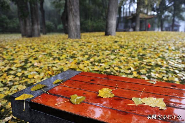 处暑节气谚语大全100句，处暑这天下雨好还是天晴好