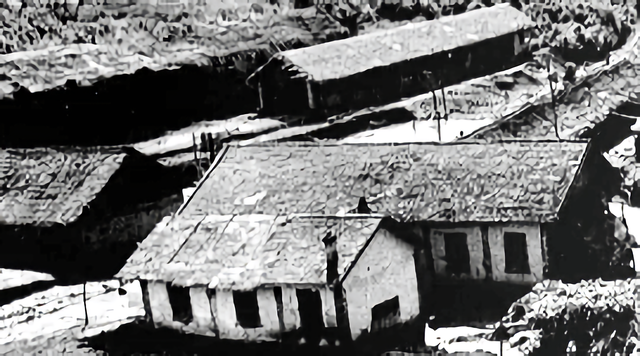 知青周萍的结局，周萍最后的结局是自杀（指导员被纳为重点嫌疑对象）