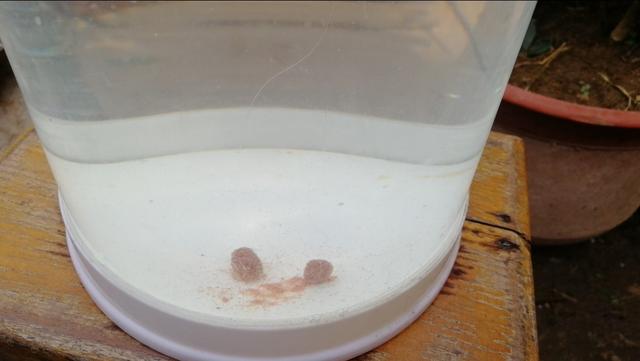 钓鱼浮漂怎么调，钓鱼浮漂的位置如何调准（浮漂调不好并不是你不会调）