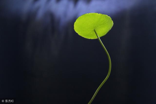 世界上最感人的故事(世界上最感人的故事 书籍)
